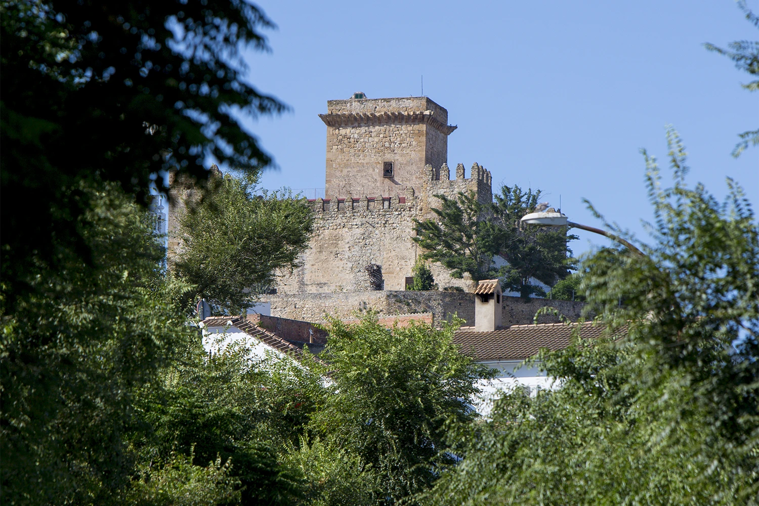 Castillo Ducal de Espejo