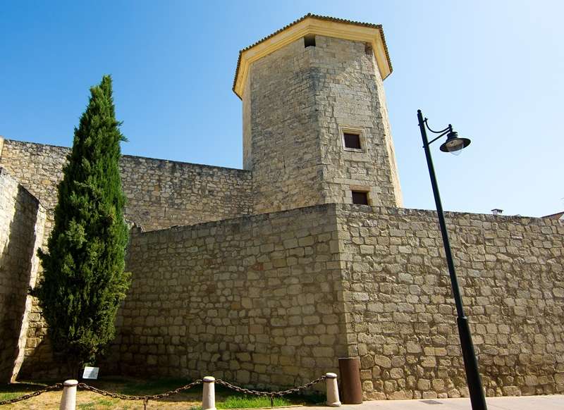Vista del Castillo del Moral